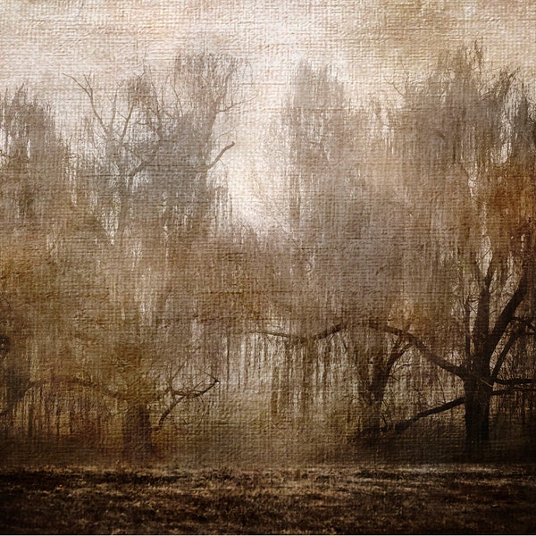 Weeping Willow Wall Art | Sepia | Southern Gothic | Rustic | Vintage | Nature Wall Art |  Farmhouse | Cottage | Cottagecore | Dark