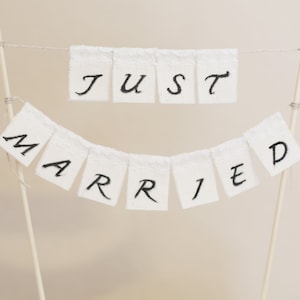Just Married Wedding Cake Topper, Rustic Cake Banner, Rustic Cake Toppers, Wedding Cake, Wedding Cake Topper, Wedding Cake Banner,photo prop