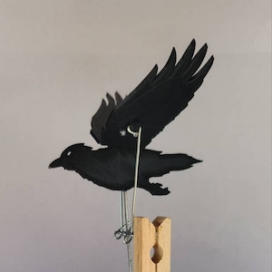 Raven peg automaton kit