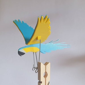Little Macaw Peg Automaton kit