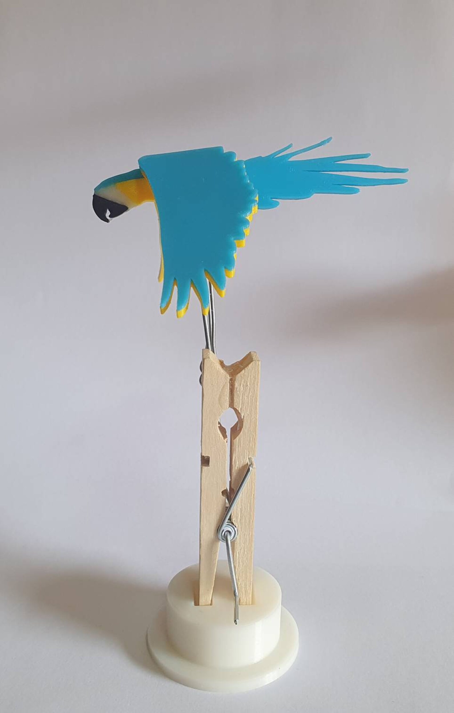 Little Automaton Little Macaw Peg Automaton Kit - Etsy Canada