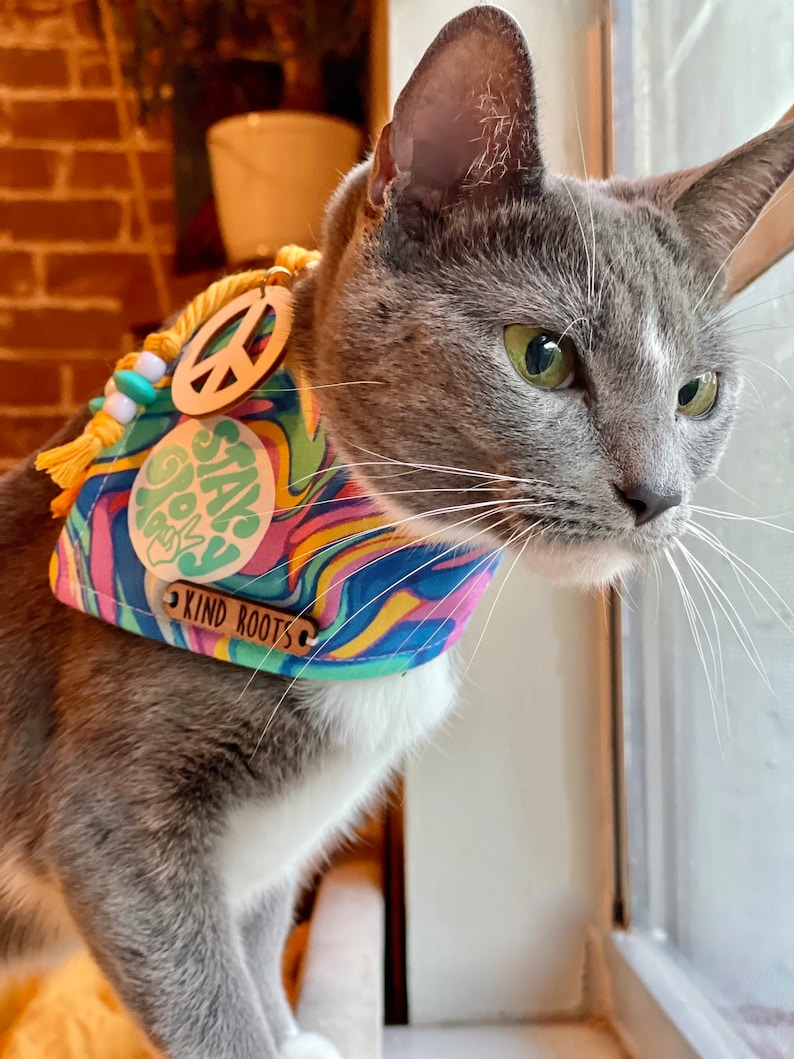 Stay Groovy dog bandana Hippie dog bandanas Groovy cat bandana Bandanas for cats Peace sign dog bandana Psychedelic dog bandanas image 6