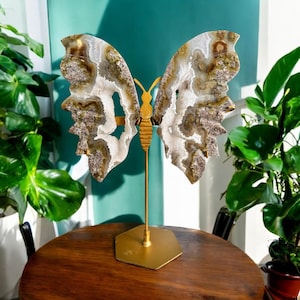Scenic moss agate butterfly wings on a golden stand - moss agate crystals - Scenic moss agate - Crystal collector gifts - rare crystals
