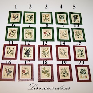 Puede incluir: Veinte estampas botánicas enmarcadas con marcos verdes y rojos, numeradas del 1 al 20. Las estampas presentan diversas plantas y flores, incluyendo un diente de león, una amapola y un helecho. El título "Les mains calmes" está escrito debajo de los marcos.