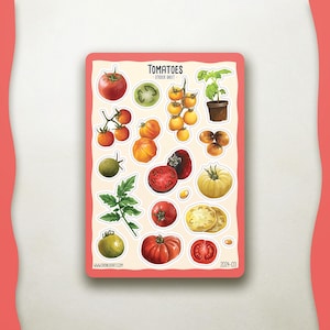 Tomatoes - Sticker Sheet A6 | Journal Stickers - Scrapbook Stickers - Planner Stickers - Decoration Stickers