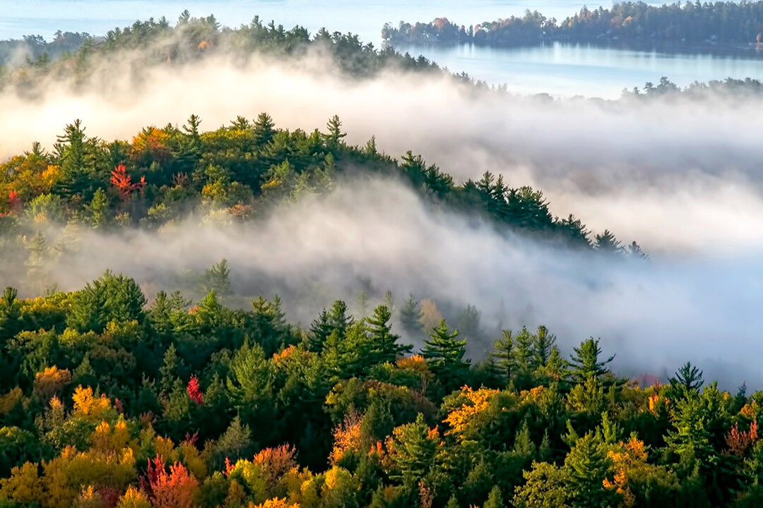 Lake Fall Foliage, Autumn Photo, Bolton Landing, the Pinnacle
