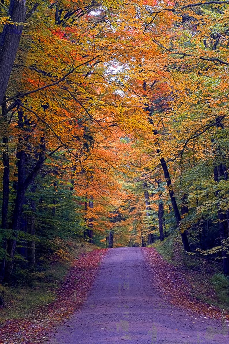 Adirondack Autumn Photography Adirondack Decor Home Decor - Etsy