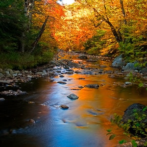 Adirondack Stream Print, Adirondack Autumn, Yellow, Blue, Adirondack Fine Art, Adirondack Decor, Nature Photography, Autumn Print