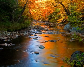 Adirondack Stream Print, Adirondack Autumn, Yellow, Blue, Adirondack Fine Art, Adirondack Decor, Nature Photography, Autumn Print