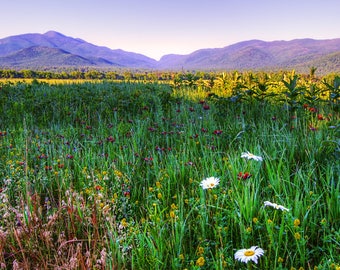 Adirondack Mountain Photograph, Country Landscape, Wildflower Photography, Lake Placid, Fine Art Print, Gift Idea, Country Living