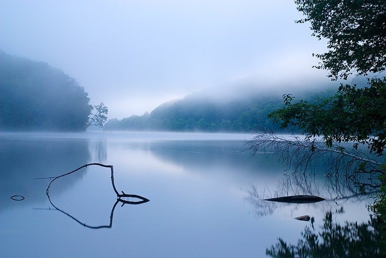 May include: A misty lake scene with a single, bare tree branch in the foreground, reflected in the still water. The background features a forested hillside shrouded in fog.