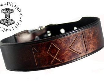 Runic Leather Dog Collar Leather Dog Collar With Runic Letters Cosplay Collar Viking Leather Dog Collar New Leather Custom Runes Dog collar