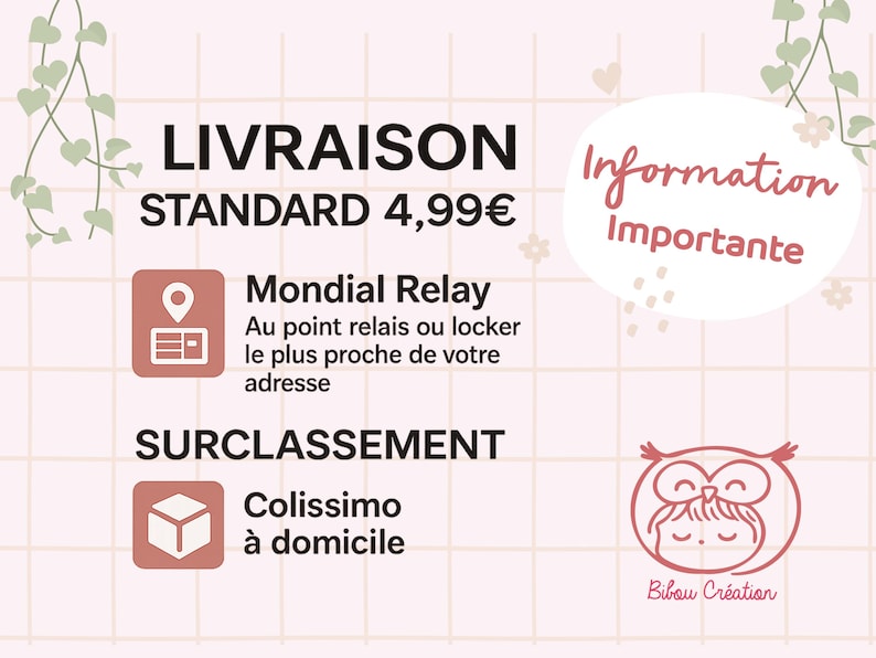 Op de afbeelding: Een roze en witte afbeelding met Franse tekst. De tekst bevat "LIVRAISON STANDARD" en "Mondial Relay". Een cartoon uil logo staat in de rechter benedenhoek. De achtergrond is een lichtroze rasterpatroon.