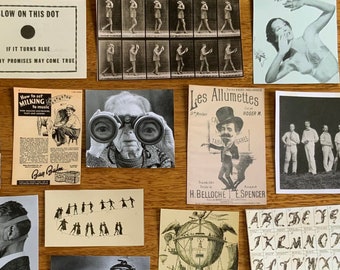 Pacote de papel vintage com imagens estranhas e maravilhosas de 25 peças - coisas efêmeras para scrapbooking - diário de lixo - colagem - coisas efêmeras de papel - desenhos de animais