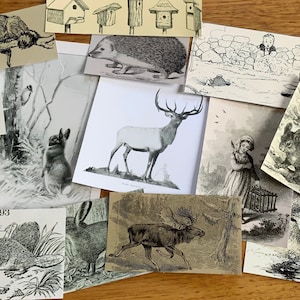 15 Piece Woodland Theme Vintage Paper Pack - Scrapbooking Ephemera - junk journal - collage - papieren ephemera - dierentekeningen