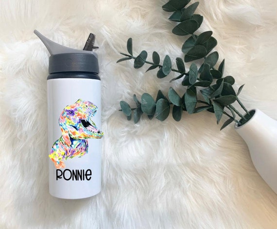 Personalised Dinosaur Drinks Bottle Kids Water Bottle Drink 