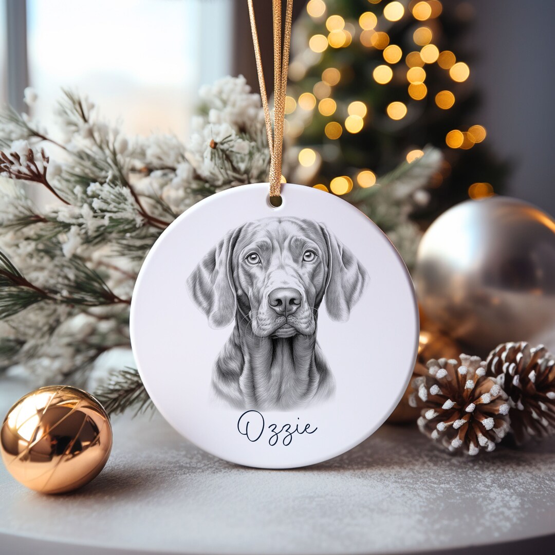 Weimaraner slippers new arrivals