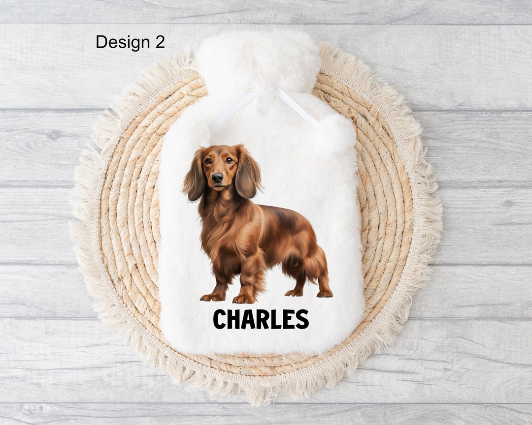 Brown Dachshund Hot Water Bottle Personalised Hot Water Etsy