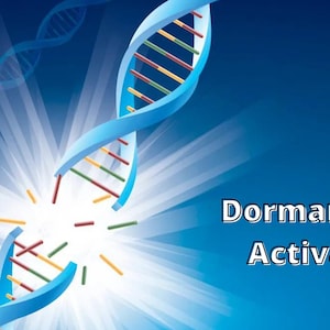 Dormant DNA Activation