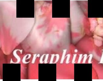 Seraphim Blueprint Healing