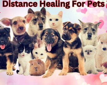 Distance Healing For Pets