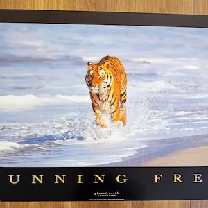 Gratis originele Planet Earth-poster uit 1996