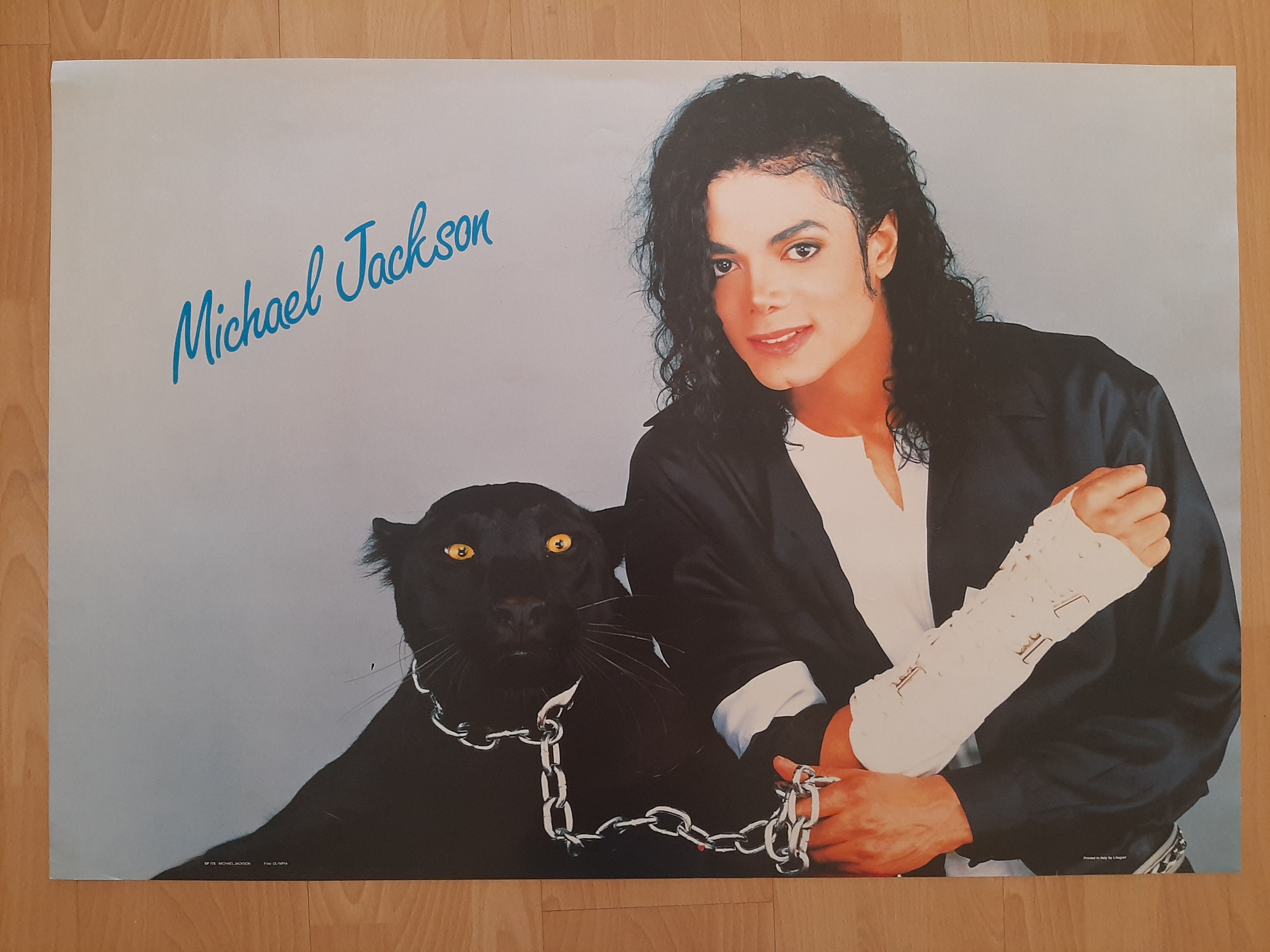 Michael Jackson Authentic Vintage 1990's Poster - Etsy