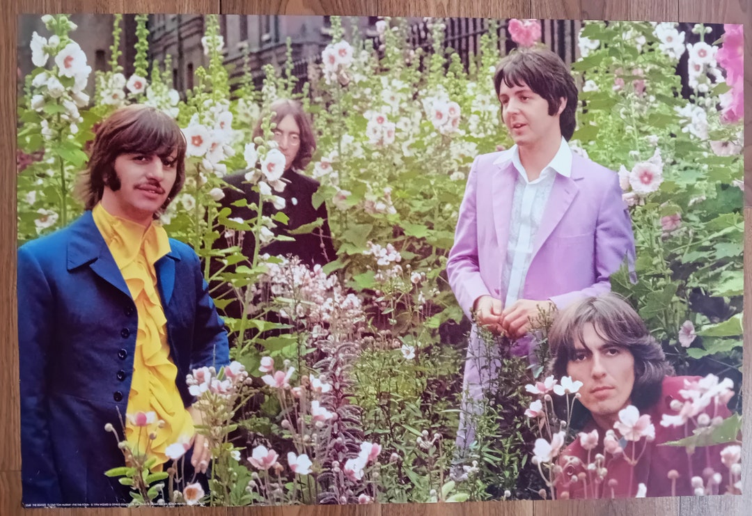 Amazing Beatles Movies Reveal First Look At The Fab Four Artwork Nature Amazing Beatles Movies Reveal First Look At The Fab Four Artwork Nature