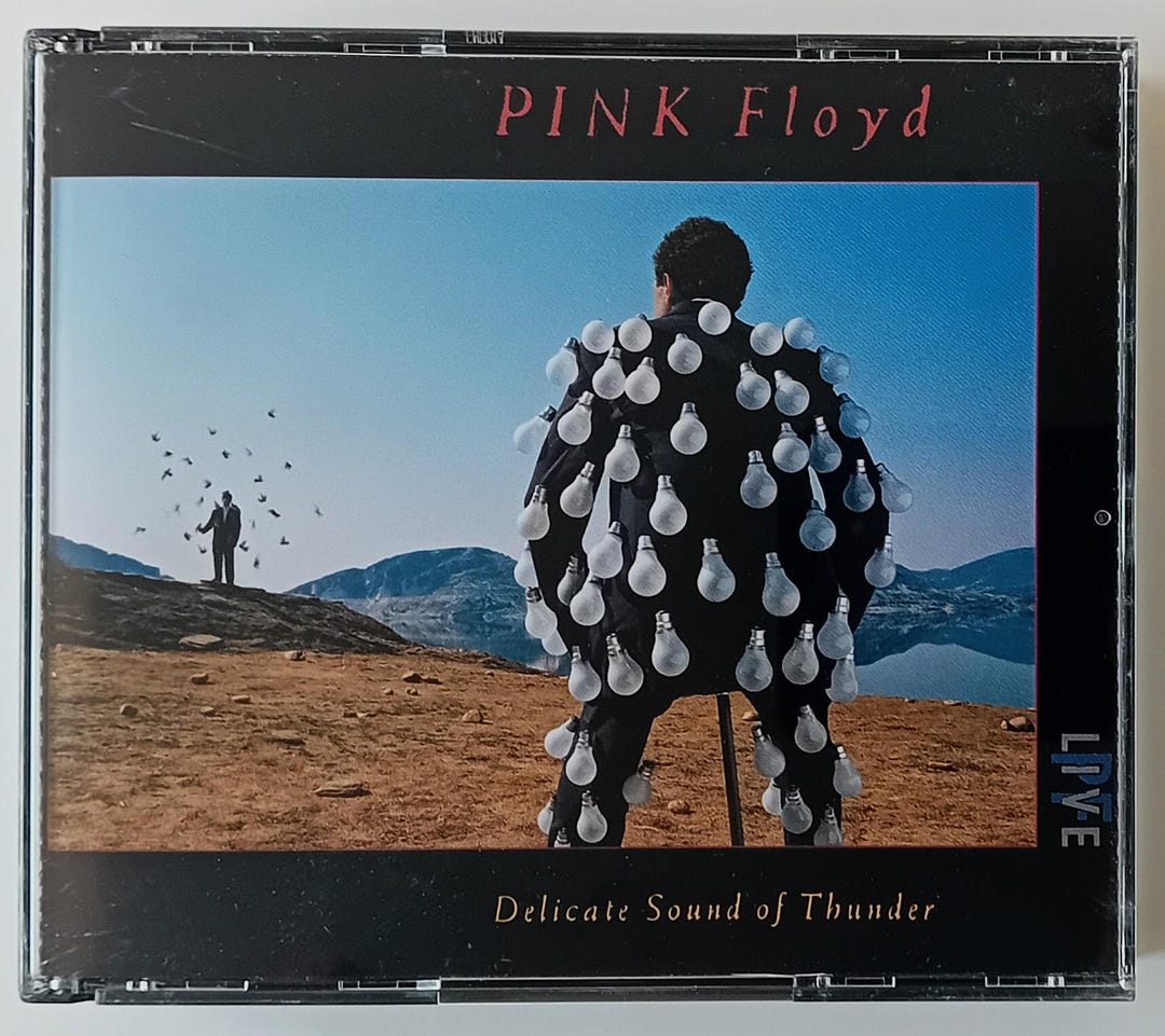 Pink Floyd - Delicate Sound of Thunder 2CD Box Set Brand New - Etsy