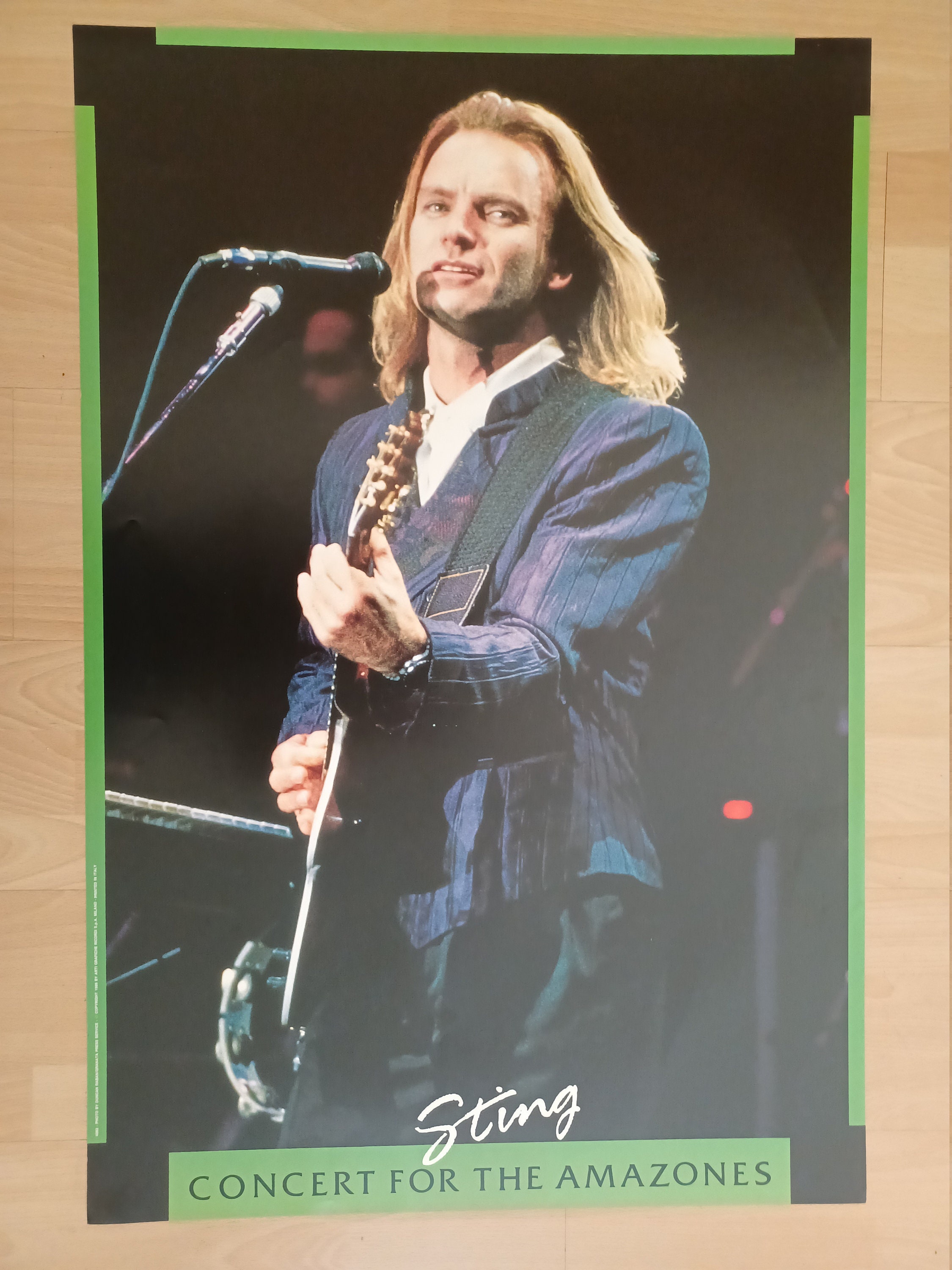 Sting Concert for the Amazones Authentic 1989 Poster - Etsy