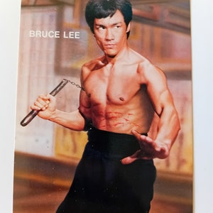 Originale Vintage Postkarte von Brutalgie Fox