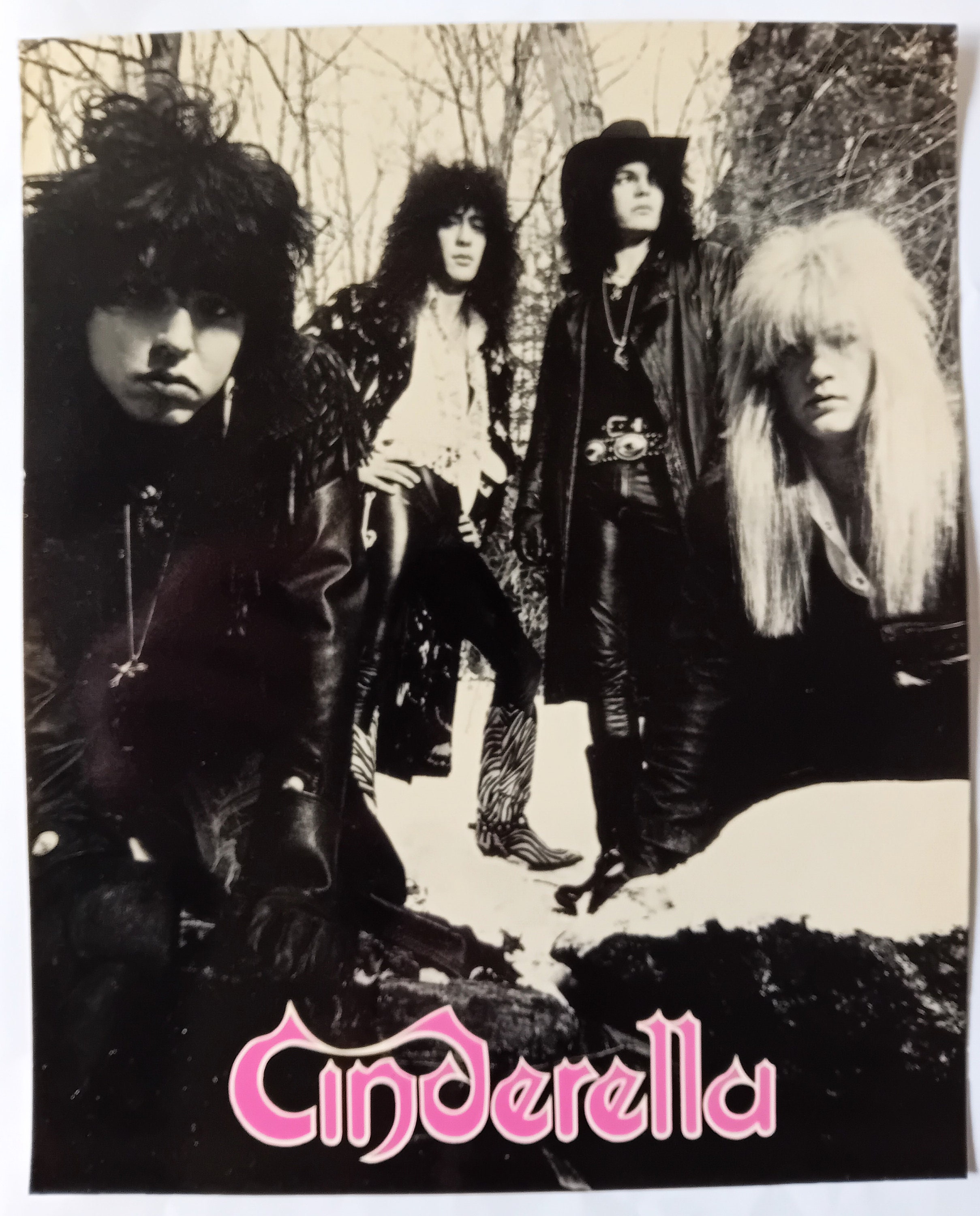 Cinderella Rockerfella Poster