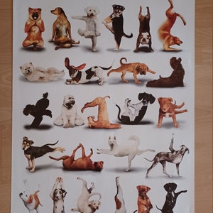 Yoga Dogs Authentic 2010 Poster