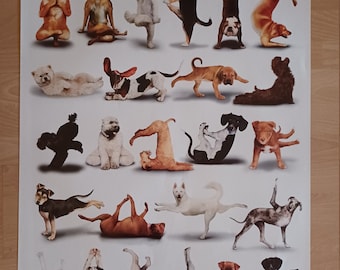 Yoga Dogs Authentic 2010 Poster