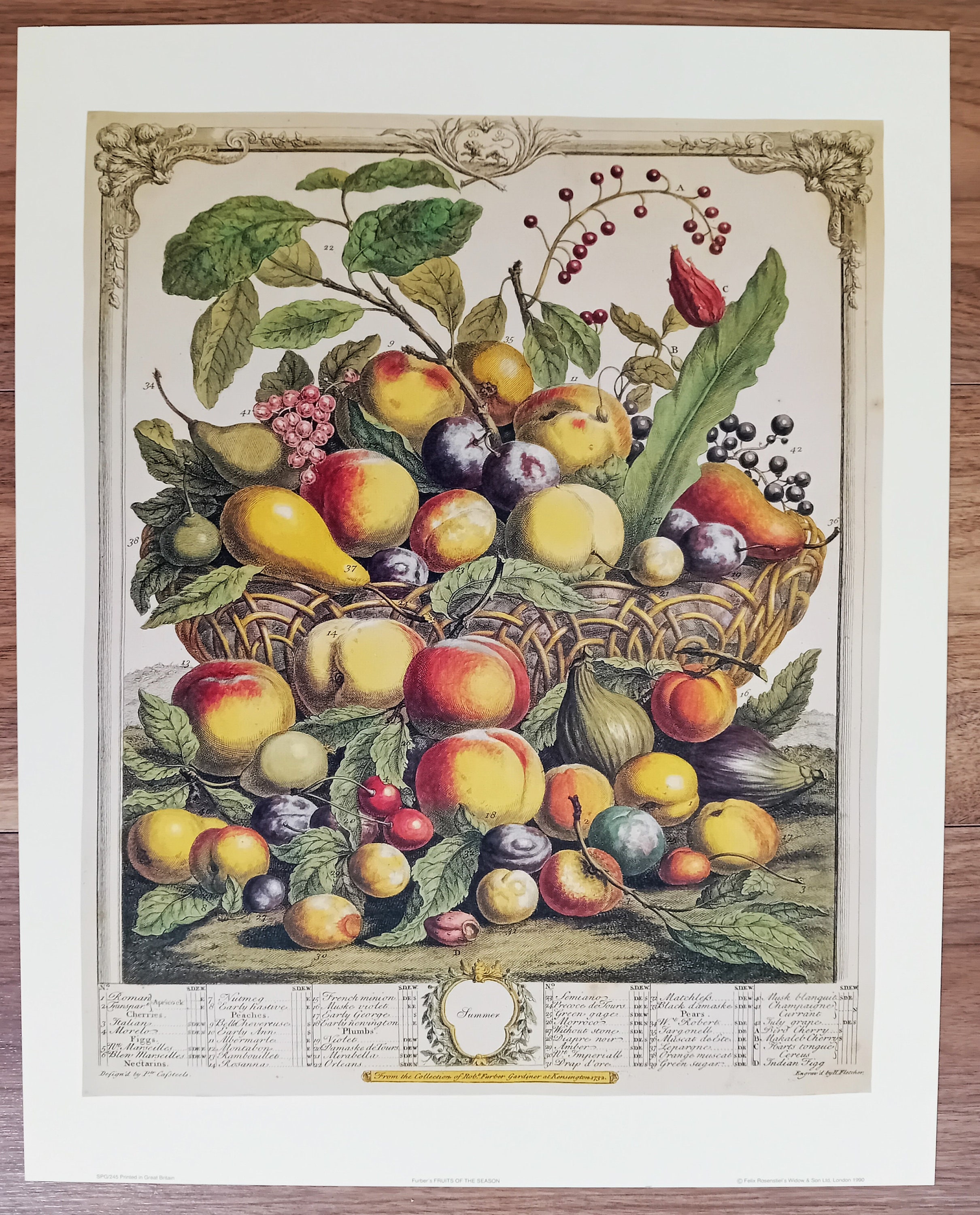 Fruits of the Season by Rob Furber 1990 Print - Etsy