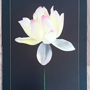 May include: A white and pink lotus flower with a green stem against a black background.