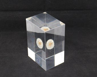 Acrylic paper weight "Eternal  dandelion clock" serial NO 5. 136x96x71mm