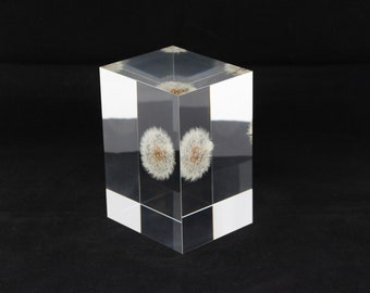 Acrylic paper weight "Eternal  dandelion clock" serial NO 15. 136x92x82mm