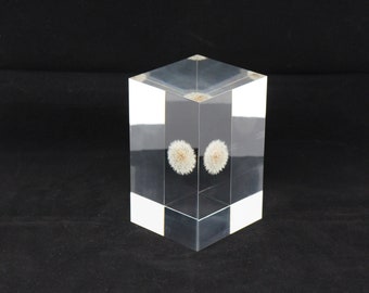 Acrylic paper weight "Eternal  dandelion clock" serial NO 12. 136x86x81mm