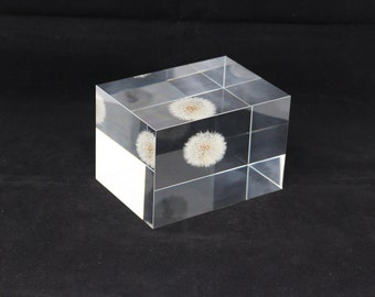Acrylic paper weight "Eternal  dandelion clock" serial NO 8. 126x91x87mm