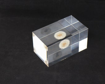 Acrylic paper weight "Eternal  dandelion clock" serial NO 3. 136x77x72mm