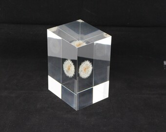 Acrylic paper weight "Eternal  dandelion clock" serial NO 9. 136x97x81mm