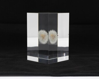 Acrylic paper weight "Eternal  dandelion clock" serial NO 17. 136x86x86mm