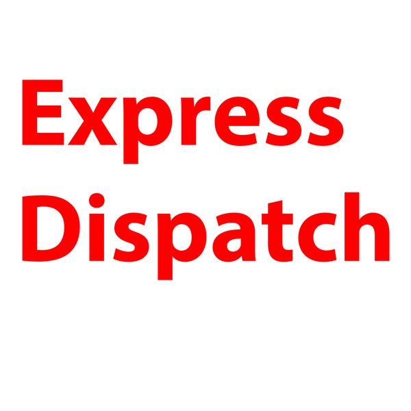 Serviço de despacho expresso no dia seguinte (não aceitamos devoluções)
