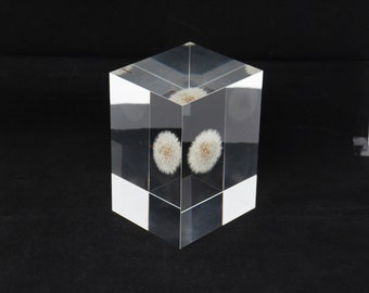 Acrylic paper weight "Eternal  dandelion clock" serial NO 16. 134x92x87mm