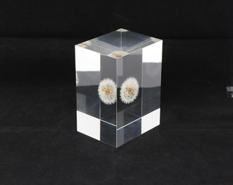 Acrylic paper weight "Eternal  dandelion clock" serial NO 10. 131x96x76mm