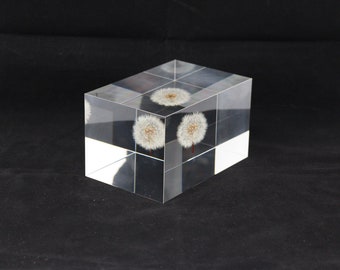 Acrylic paper weight "Eternal  dandelion clock" serial NO 14. 135x92x82mm