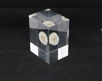 Acrylic paper weight "Eternal  dandelion clock" serial NO 7. 126x96x76mm