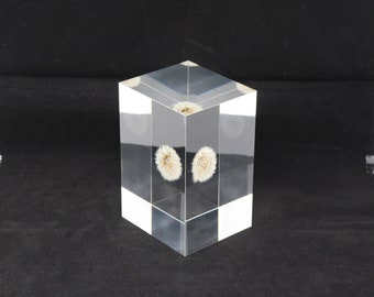 Acrylic paper weight "Eternal  dandelion clock" serial NO 20. 136x91x82mm