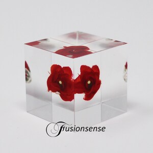 Può includere: Un cubo trasparente con due fiori di stoffa rossi al suo interno. Il cubo è in acrilico ed è un oggetto decorativo.